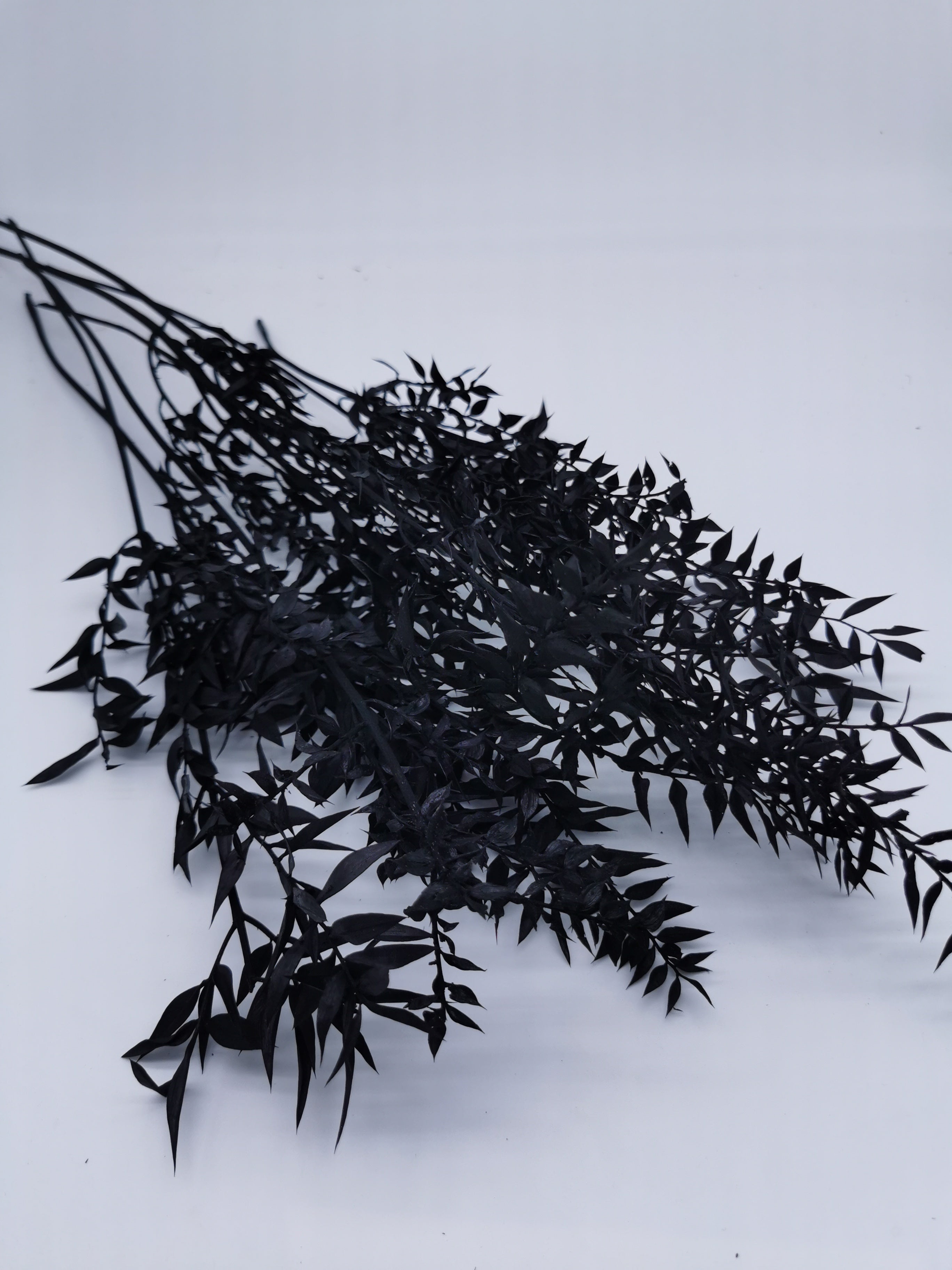 Ruscus Schwarz KreativAtelier