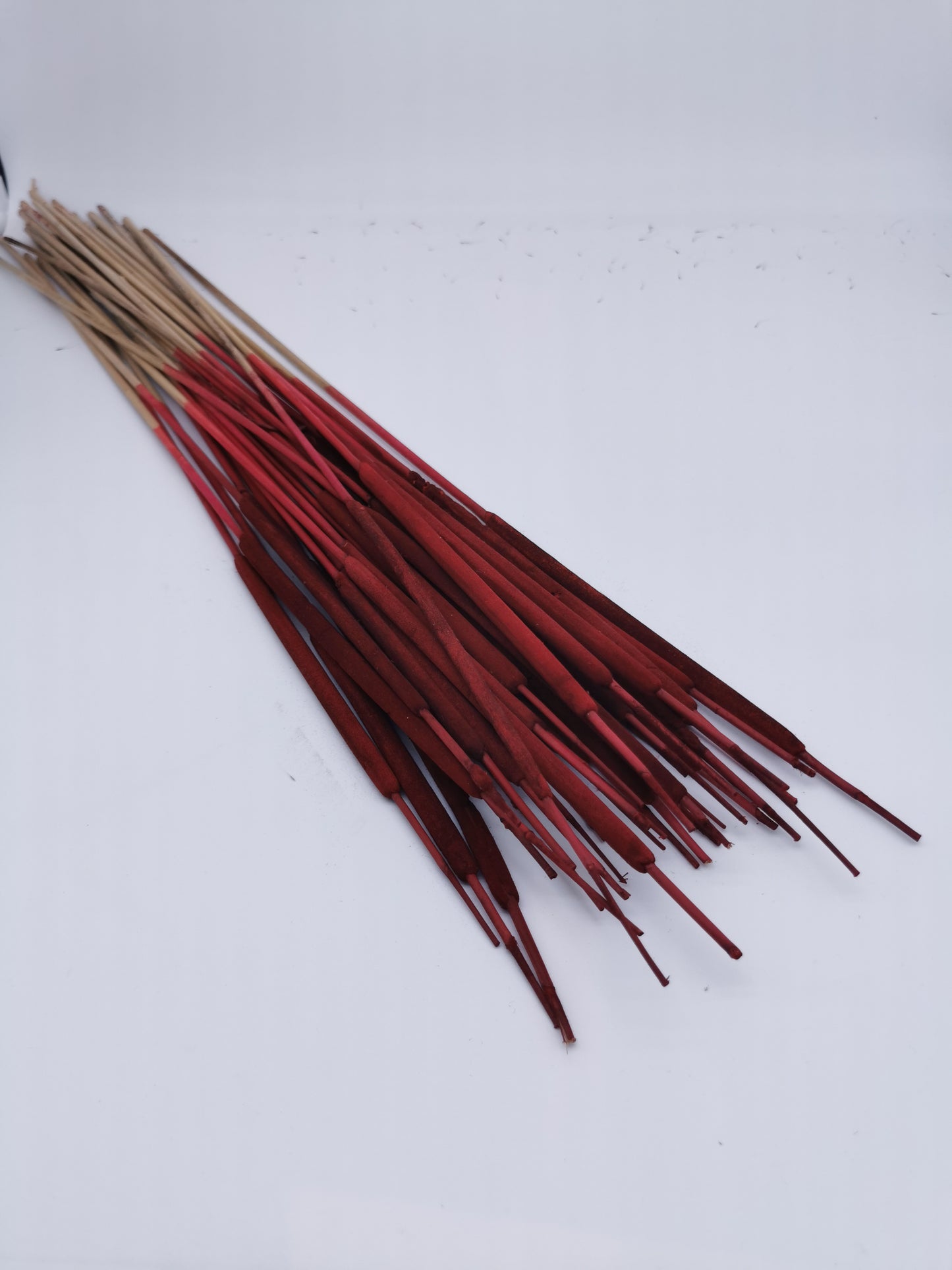 Schilfkolben, klein, Rot