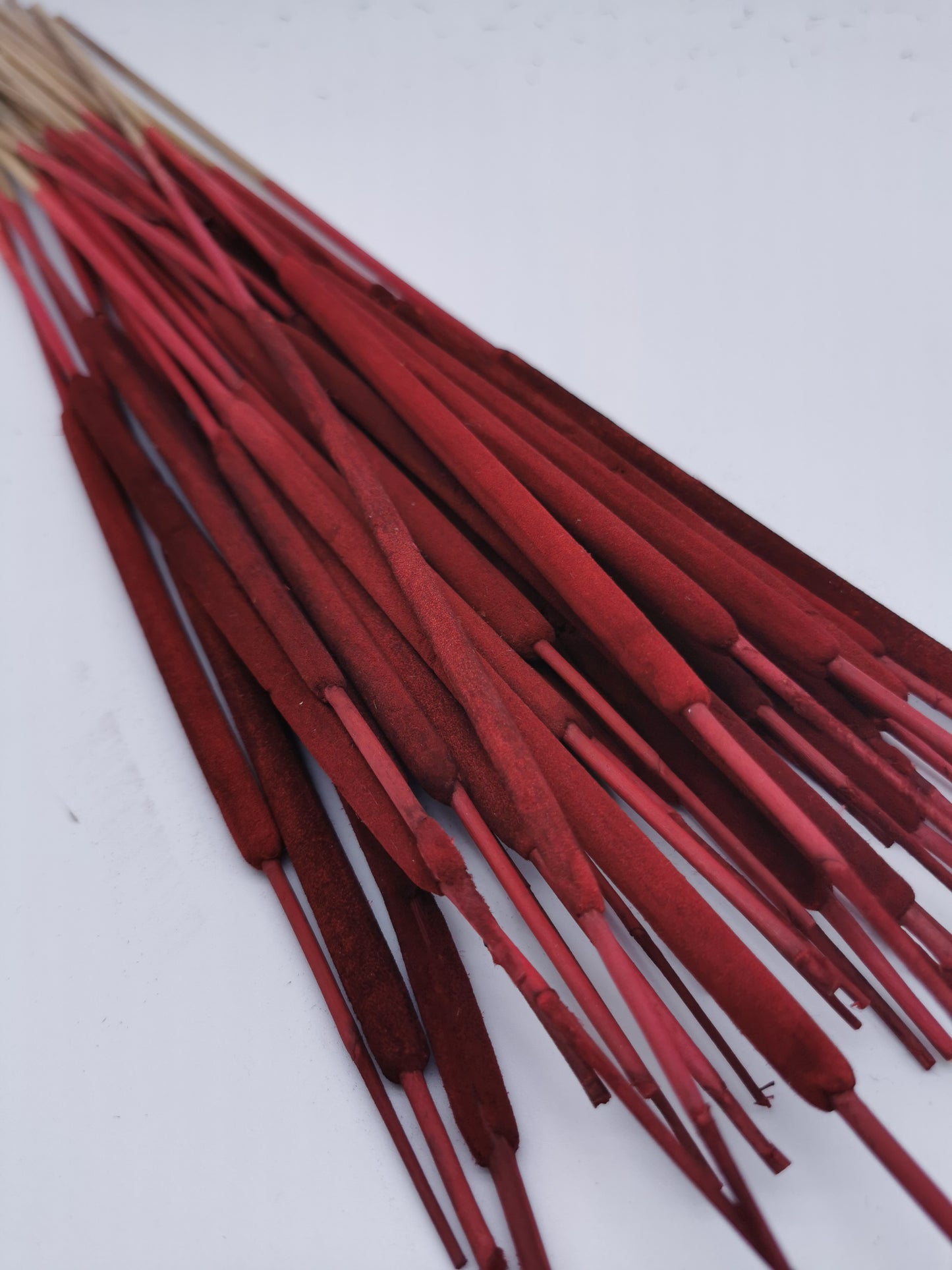Schilfkolben, klein, Rot