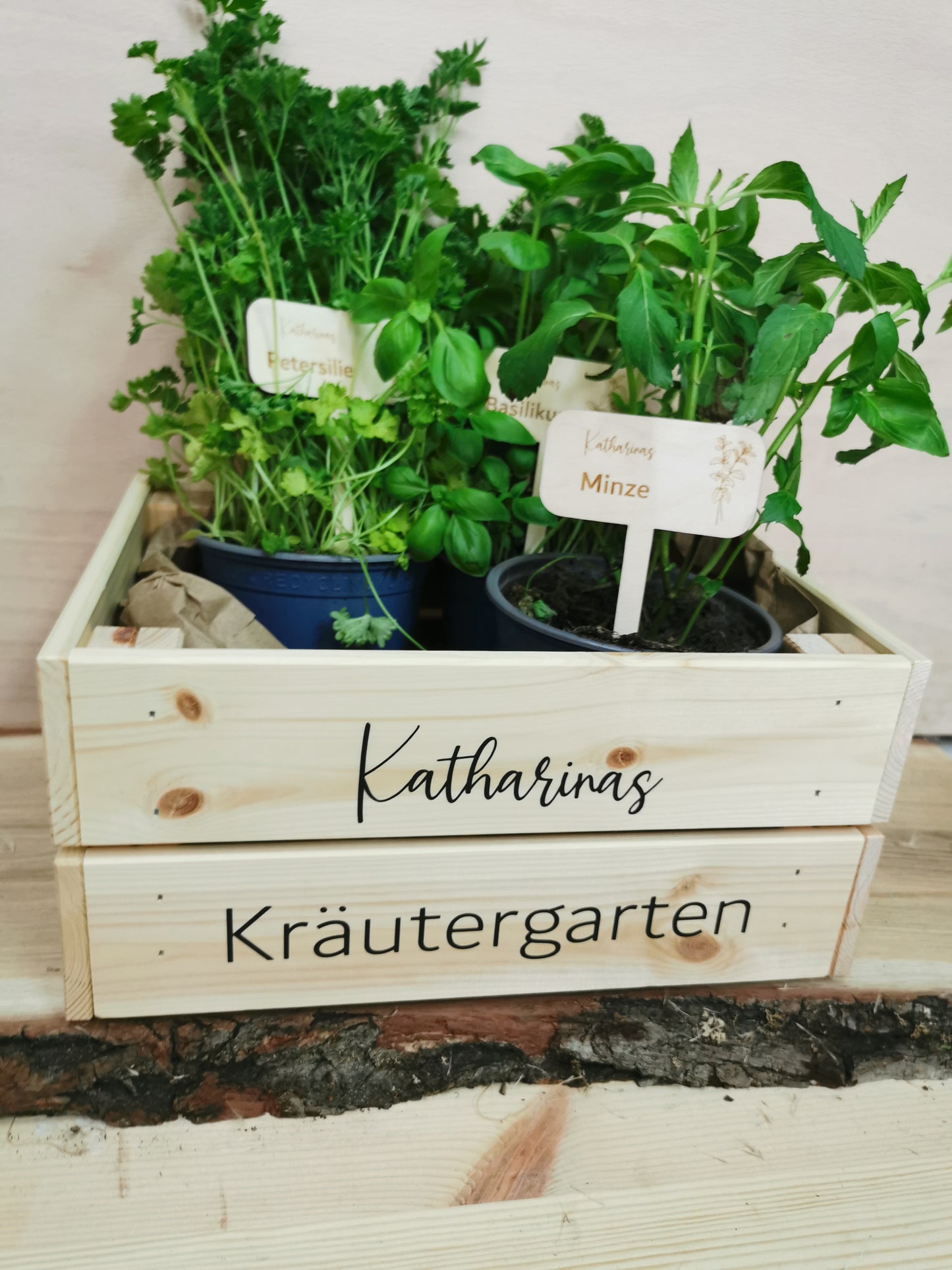 Holzkiste Kräutergarten