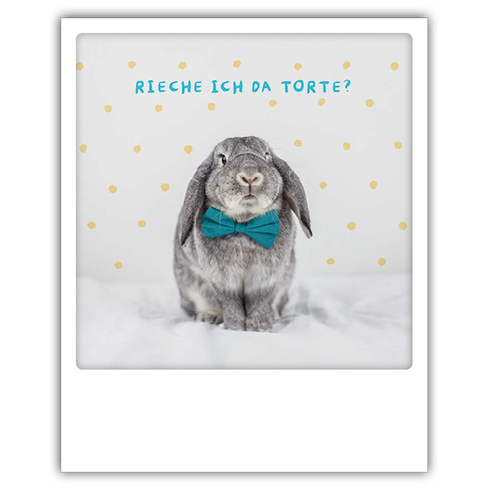 Pickmotion Postkarte - Rieche ich da Torte? - Hase