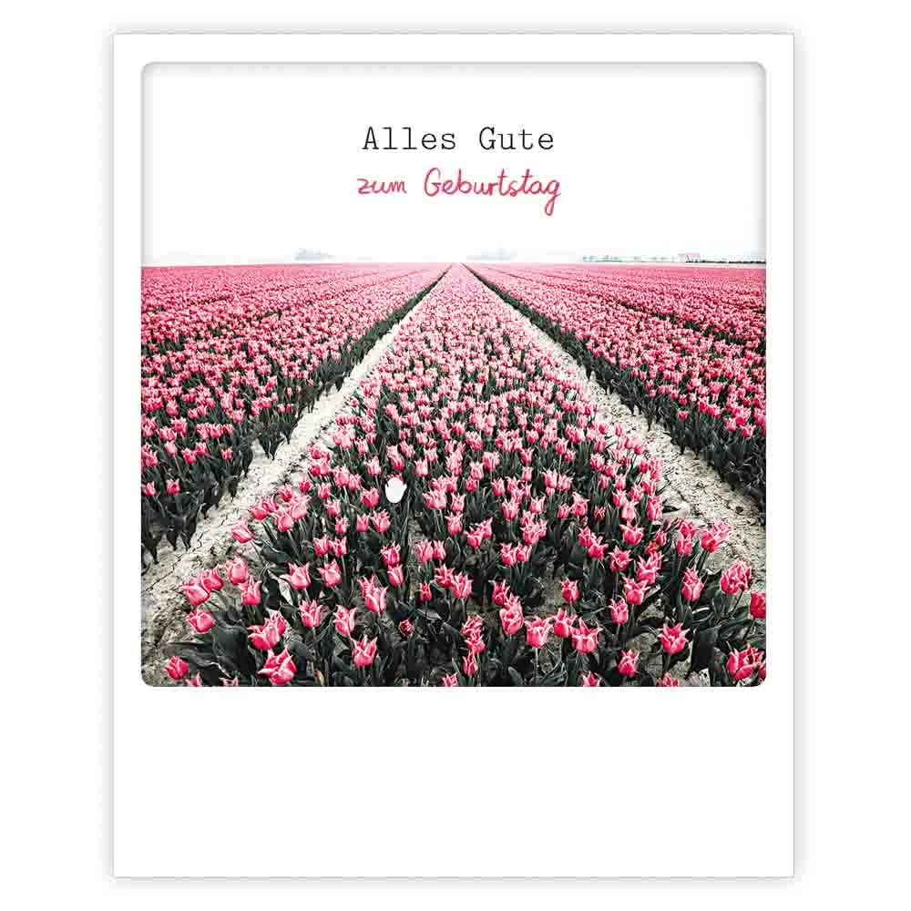 Pickmotion Postkarte - Zum Geburtstag