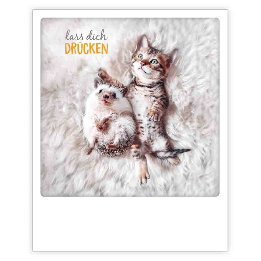 Pickmotion Postkarte - Lass dich drücken