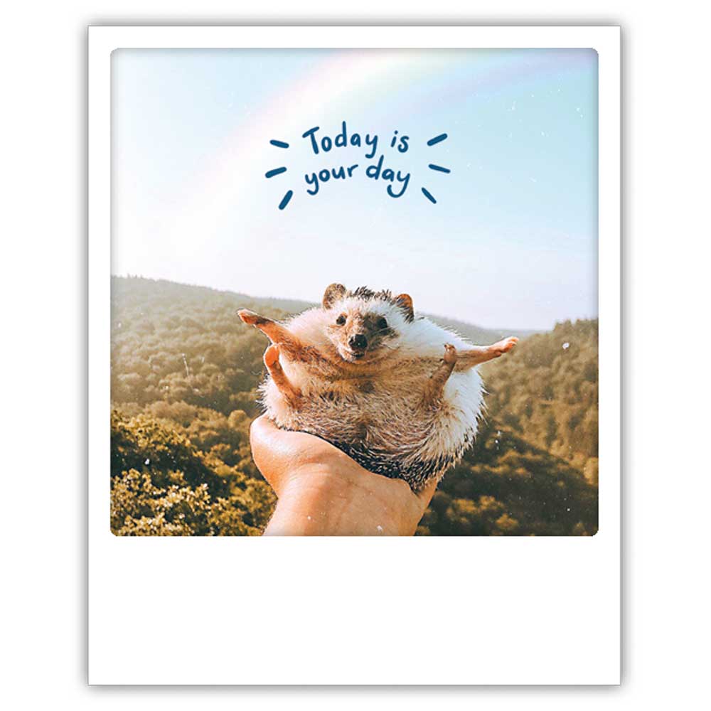 Pickmotion Postkarte - Today is your day - Igel