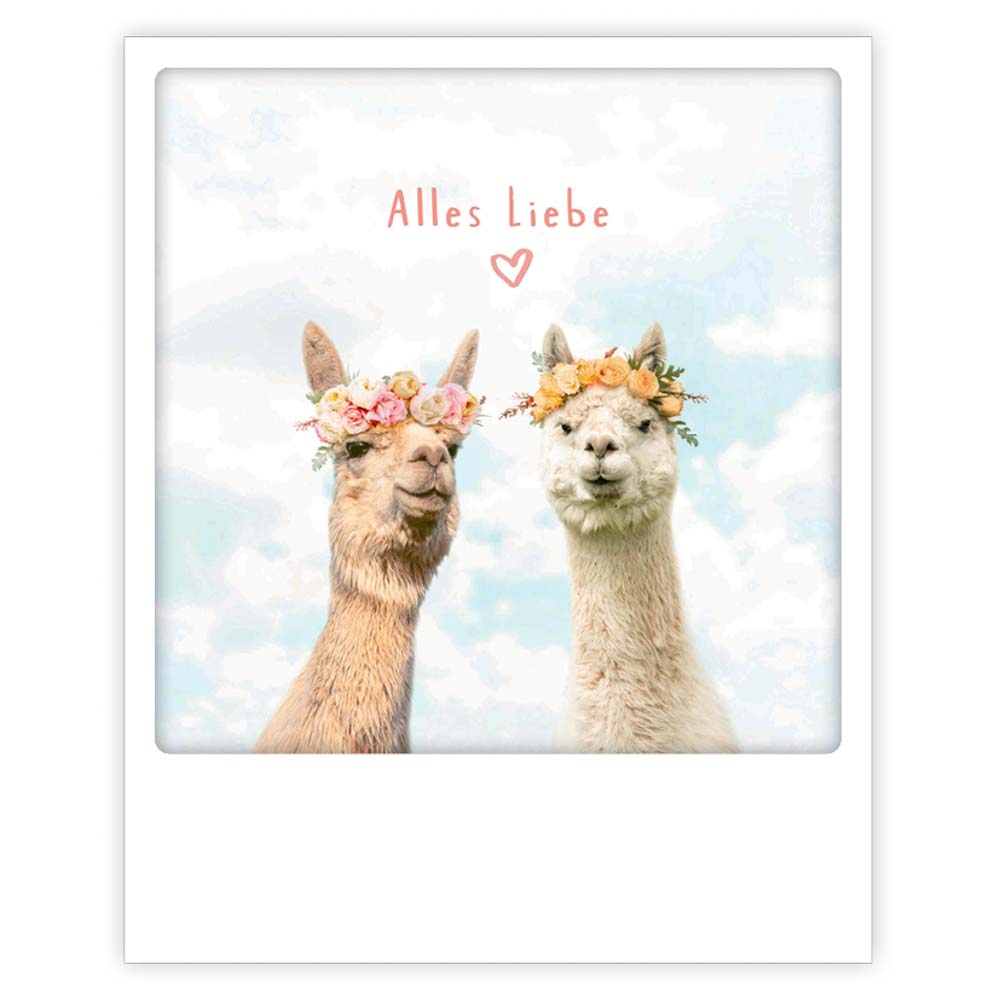 Pickmotion Postkarte - Lama Liebe