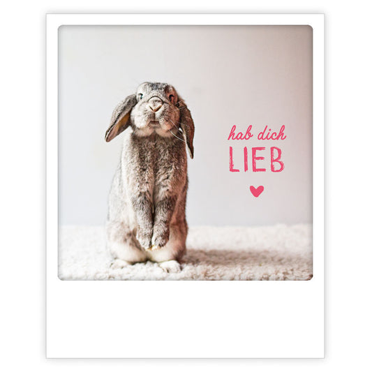 Pickmotion Postkarte - Hab dich lieb - Kaninchen