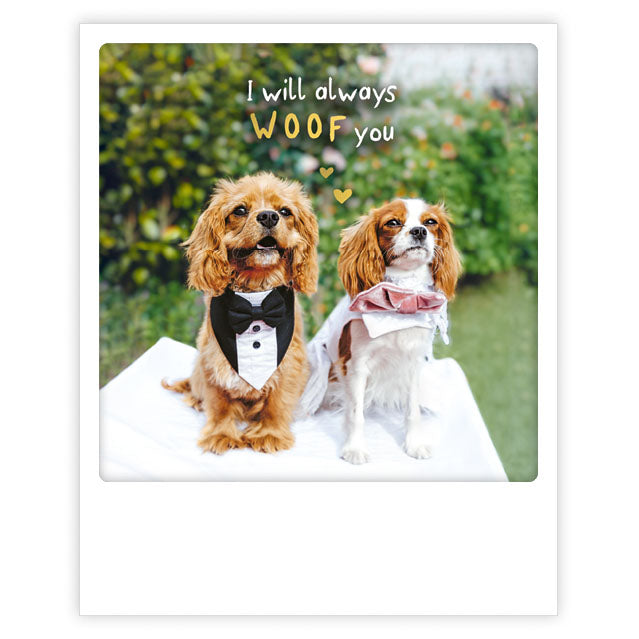 Pickmotion Postkarte - Always Woof You