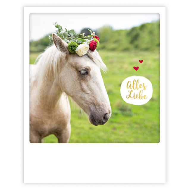 Pickmotion Postkarte - Alles Liebe - Pferd