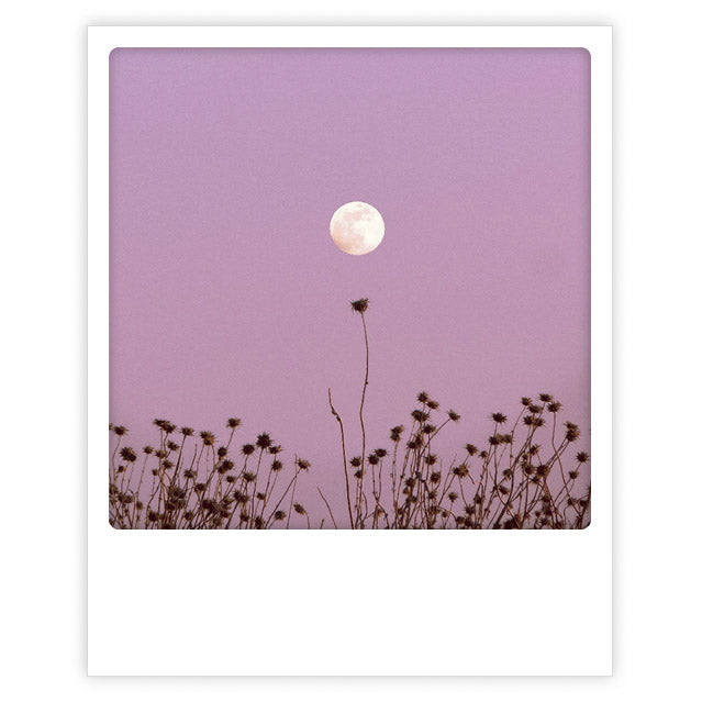 Pickmotion Postkarte - Purple Moon
