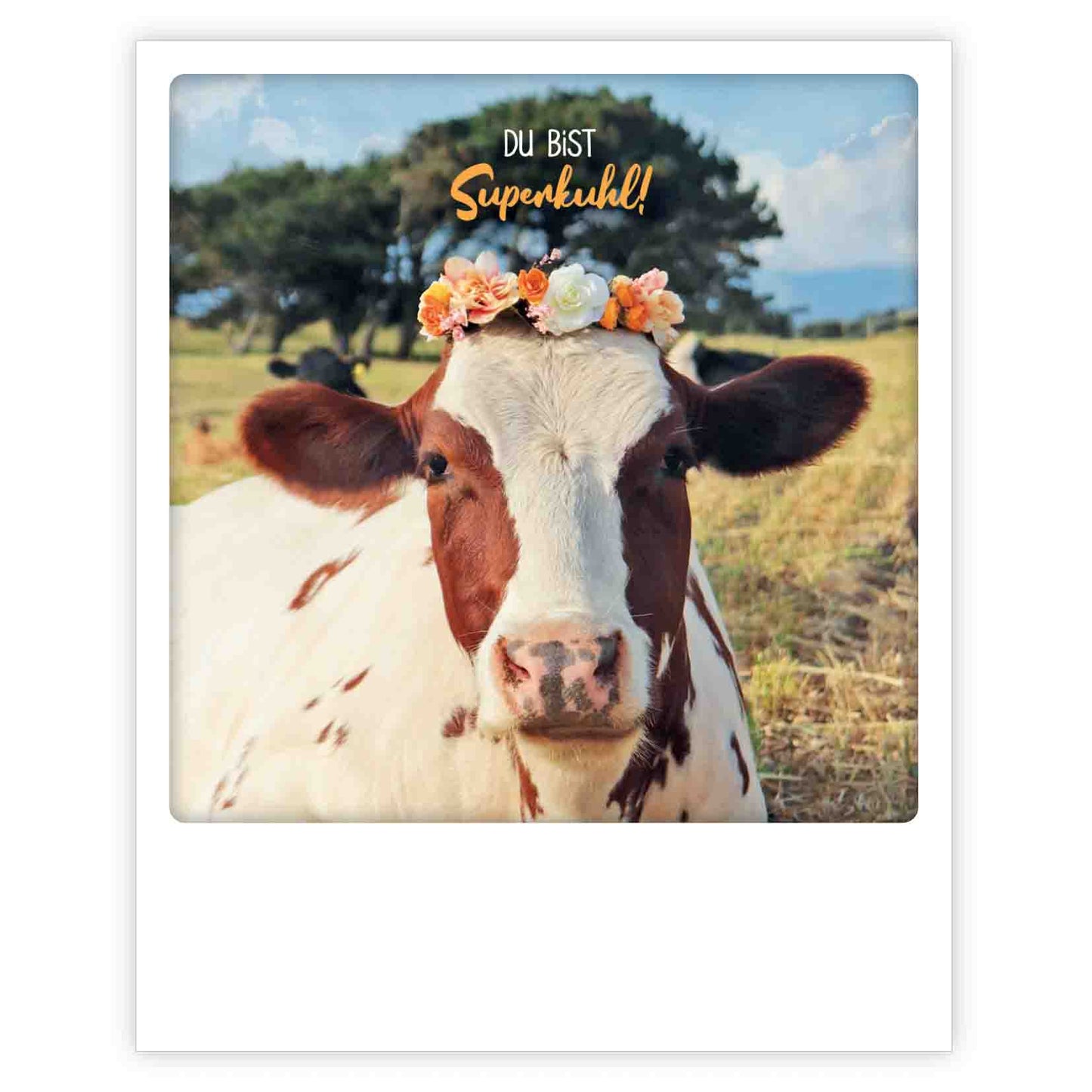 Pickmotion Postkarte - Du bist superkuuuhl