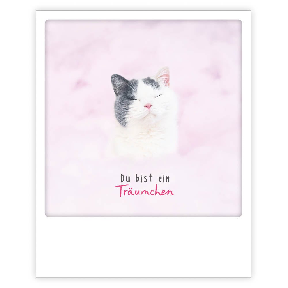 Pickmotion Postkarte - Du bist ein Träumchen - Katze
