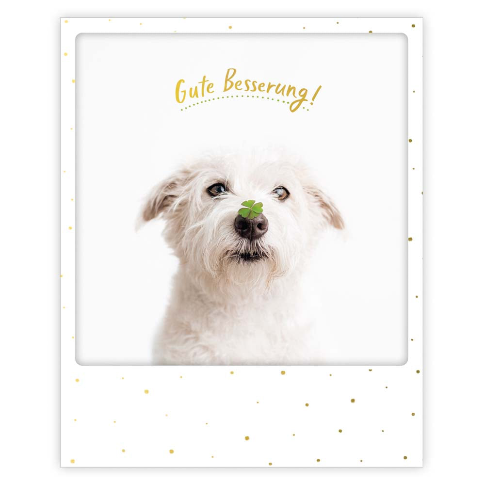 Pickmotion Postkarte - Gute Besserung - Hund